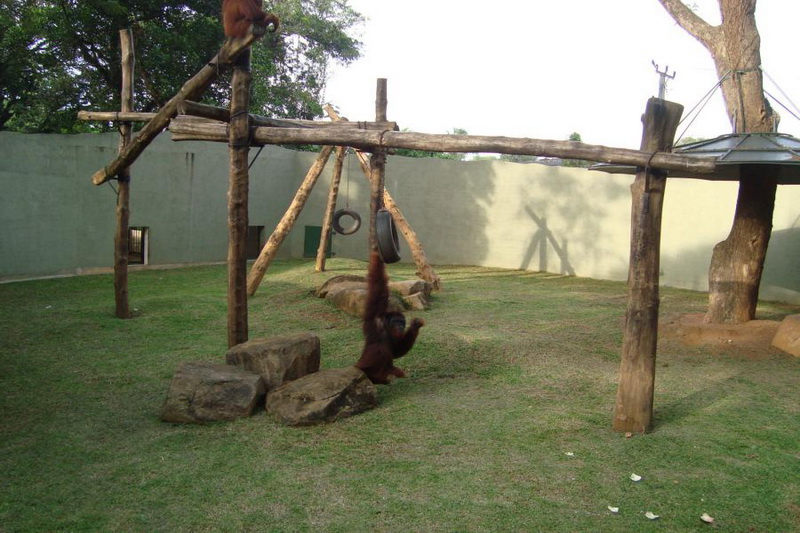 Sri Lanka, Colombo, Dehiwala Zoo